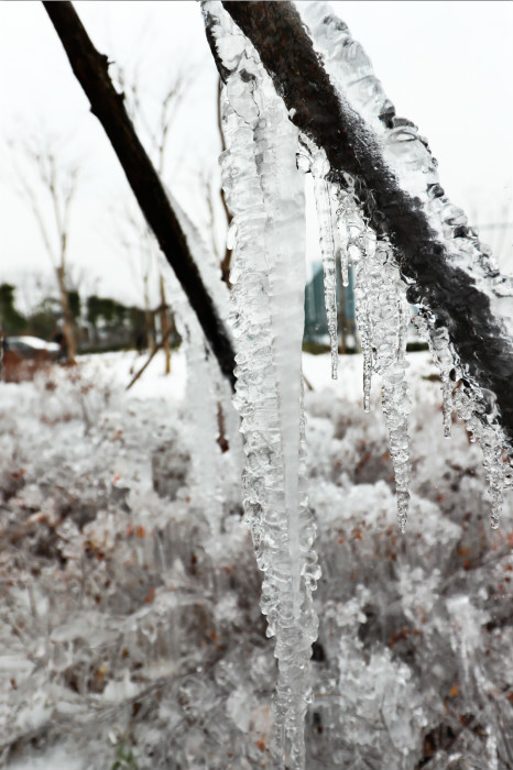 一場雪，體育中心美得不要不要的</br>但最美的風(fēng)景還是他們(圖4)